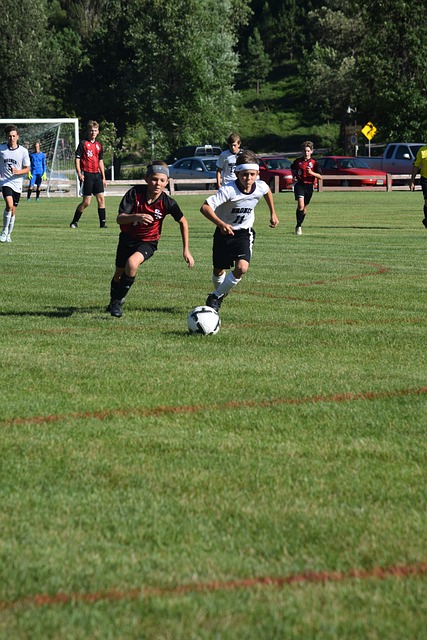 这一句话不 这一句话不