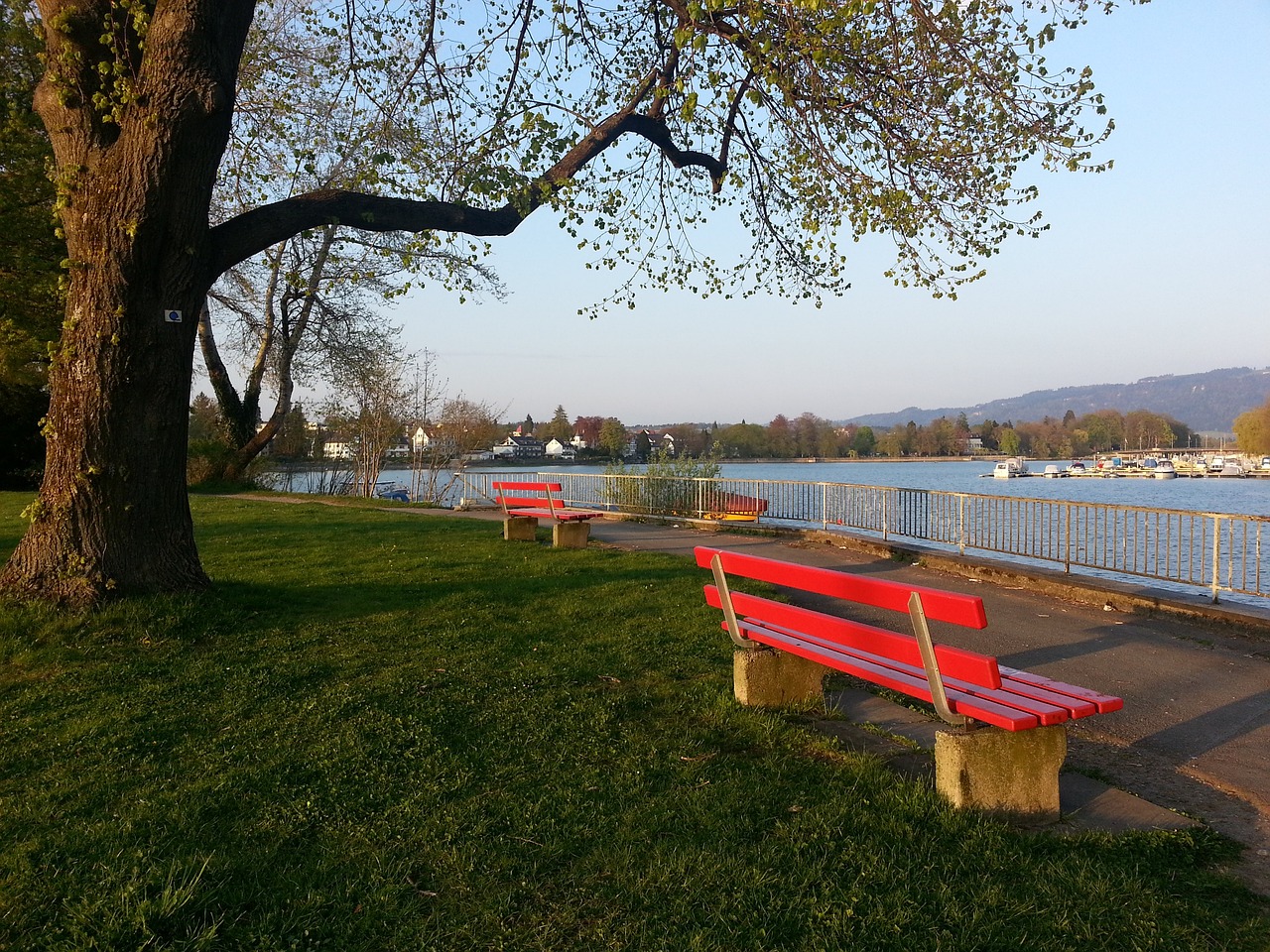 心理态势 心理态势