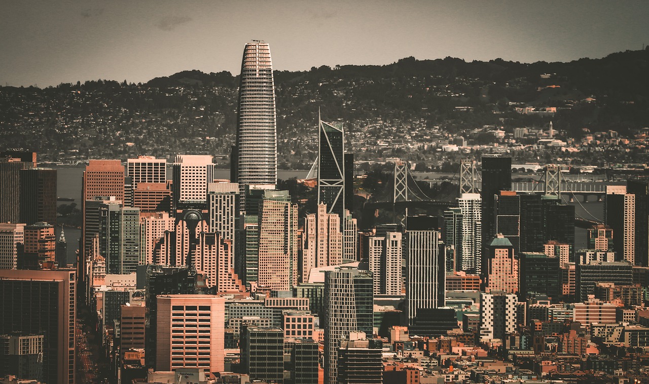 觀賽指南 觀賽指南