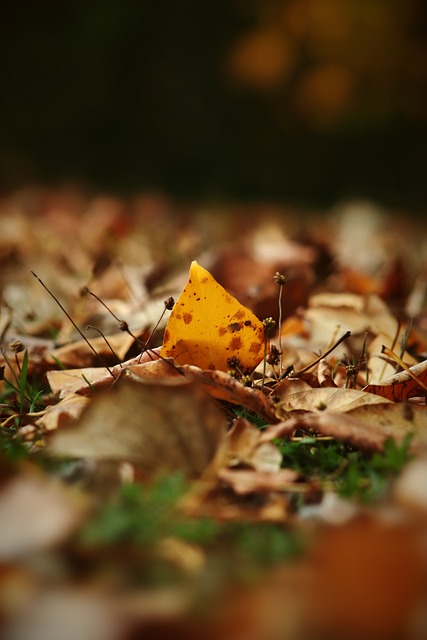 敌手中轻松 敌手中轻松