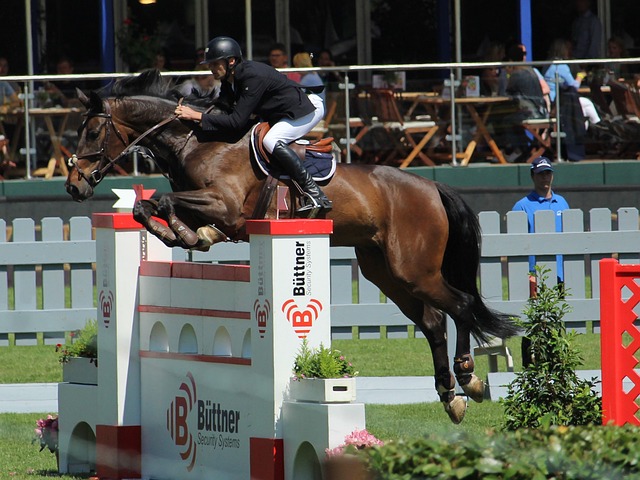 的第一功臣 的第一功臣